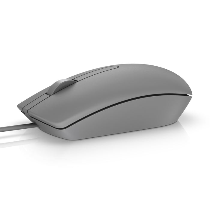 EAN 5704174208242 - DELL MS116 ratón Ambidextro USB tipo A Óptico 1000 DPI imagen 1