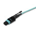 EAN 65030879019 - StarTech.com MPO8LCPL2M Cable de fibra óptica e InfiniBand 2 m MPO/MTP 8x LC Color aguamarina imagen 3