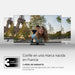 EAN 9120106661613 - Thomson 32HD2S13 Televisor 81,3 cm (32") HD Negro imagen 12