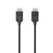 EAN 9350784021960 - ALOGIC EL2DP-02 cable DisplayPort 2 m Negro imagen 3