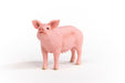 EAN 4059433358260 - schleich FARM WORLD 13933 figura de juguete para niños imagen 2