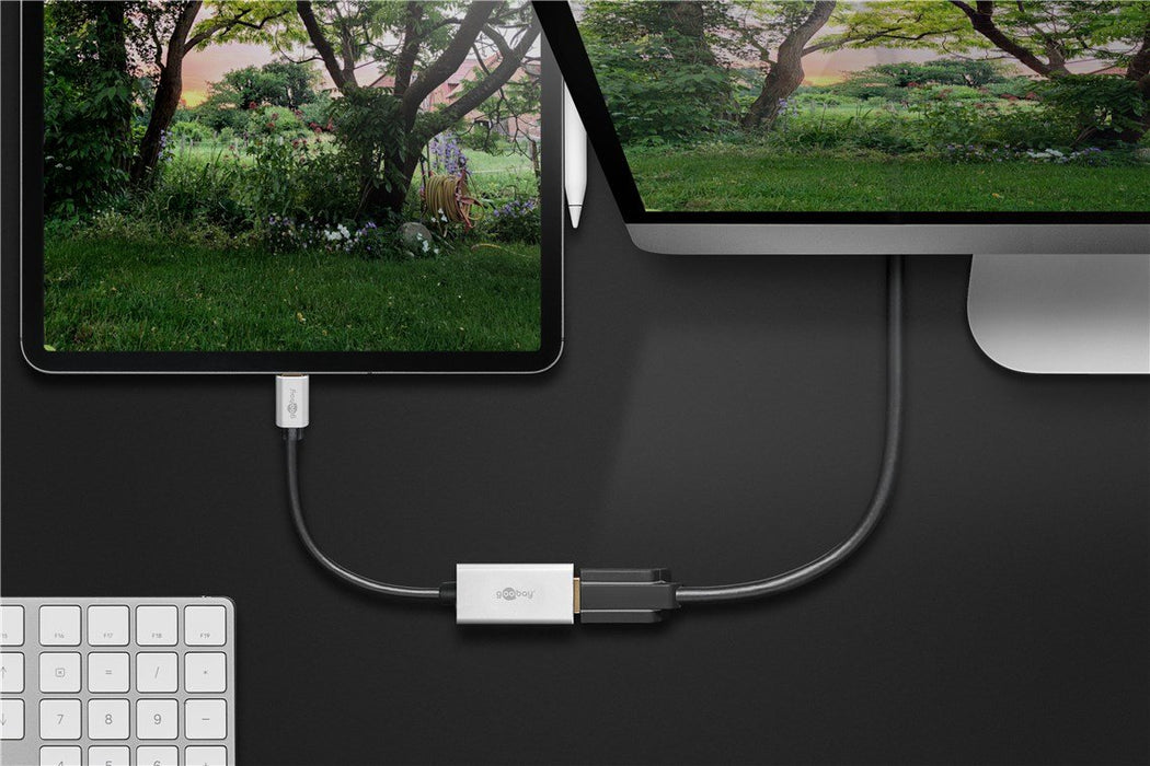 EAN 4040849601941 - Goobay 60194 Adaptador gráfico USB Negro, Plata imagen 5