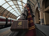 EAN 6942729001224 - realme 16 Pro Harry Potter Edition 17,2 cm (6.78") SIM doble Android 16.0 5G USB Tipo C 12 GB 256 GB 6500 imagen 14