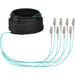 EAN 4049759305055 - EFB Elektronik O8322S30OM3 Cable de fibra óptica e InfiniBand 30 m 8x LC U-DQ(ZN) BH Beige, Negro, Azul imagen 1