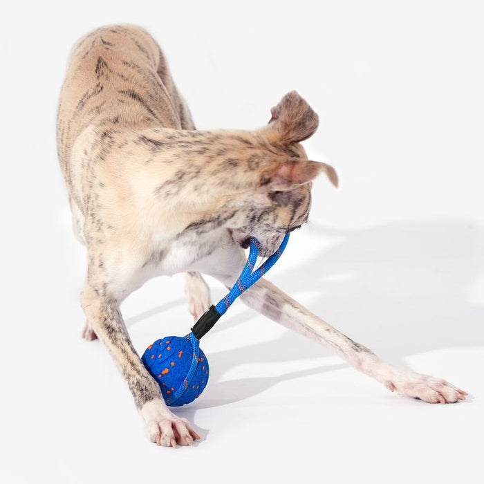 EAN 6971883205933 - Cheerble Wicked Ball Air Rope imagen 2