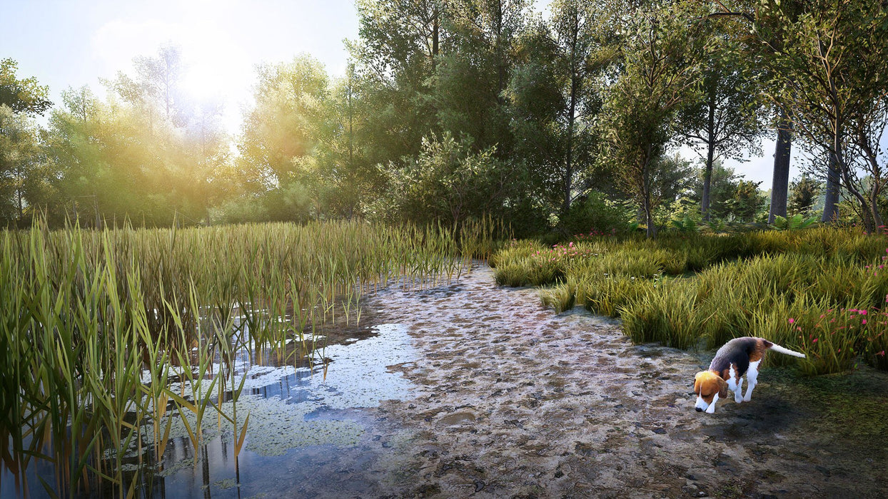 EAN 3665962001358 - Bigben Interactive Hunting Simulator 2 Estándar Nintendo Switch imagen 11