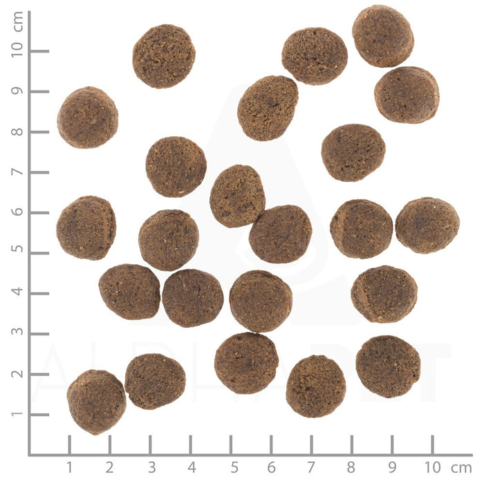 EAN 4260603786558 - Wolfsblut VetLine Gastrointestinal 12 kg Adulto Pato, Batata imagen 3