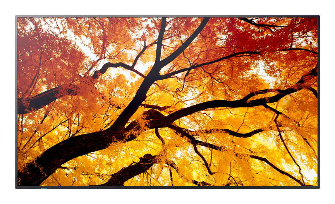 EAN 4550556176668 - Sharp MultiSync PN-M982 Panel plano interactivo 2,48 m (97.5") LED 550 cd / m² 4K Ultra HD Negro 24/7 imagen 1