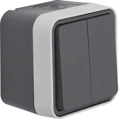 EAN 4011334393672 - Berker 30753505 interruptor de luz Gris imagen 1