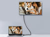 EAN 4015867153093 - Equip 119331 cable DisplayPort 1 m Negro imagen 4