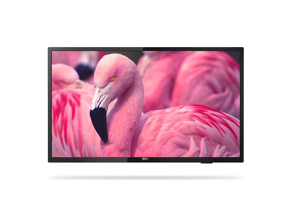 EAN 8718863020708 - Philips 32HFL4014/12 televisión para el sector hotelero 81,3 cm (32") HD 250 cd / m² Negro 16 W imagen 1