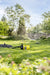 EAN 4054278915975 - Kärcher 1.645-730.0 no categorizado imagen 2