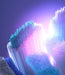 EAN 4210201319818 - Oral-B iO Ultimate Clean 4 pieza(s) Blanco imagen 9