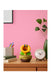 EAN 45496510909 - Nintendo Talking Flower imagen 7
