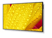 EAN 5028695127487 - NEC MultiSync M551-2 Diseño de quiosco 127 cm (50") LED 4K Ultra HD Negro Procesador incorporado imagen 5