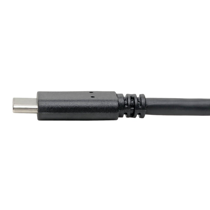 EAN 37332218391 - Tripp Lite U428-006 cable USB USB 3.2 Gen 1 (3.1 Gen 1) 1,83 m USB C USB A 5 Gbit/s Negro imagen 5