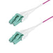 EAN 65030920834 - StarTech.com OM4RLCLC50M Cable de fibra óptica e InfiniBand imagen 1