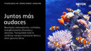 EAN 0095205846249 - Xerox 106R03760 cartucho de tóner 1 pieza(s) Original imagen 4