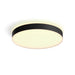 EAN 8718696176481 - Philips Hue White ambiance 4116130P6 Luz de techo inteligente Bluetooth/Zigbee 48 W imagen 1