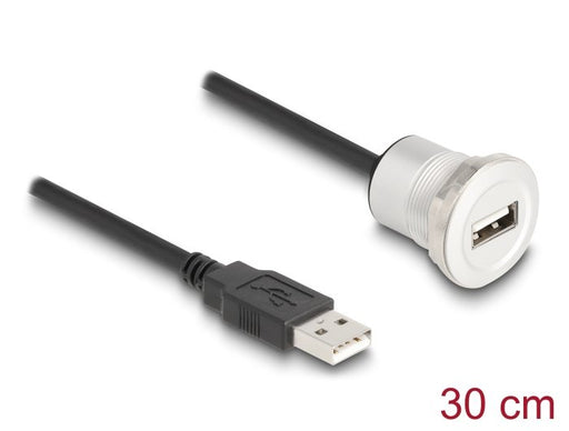 EAN 4043619881819 - DeLOCK 88181 cable USB USB 2.0 0,3 m USB A Negro, Plata imagen 2