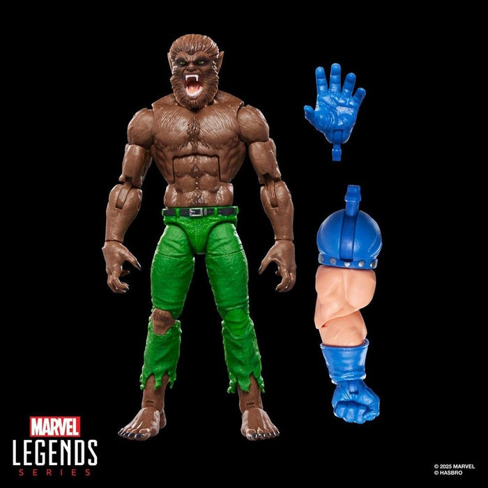 EAN 5010996317360 - Marvel Legends Series Werewolf By Night imagen 7