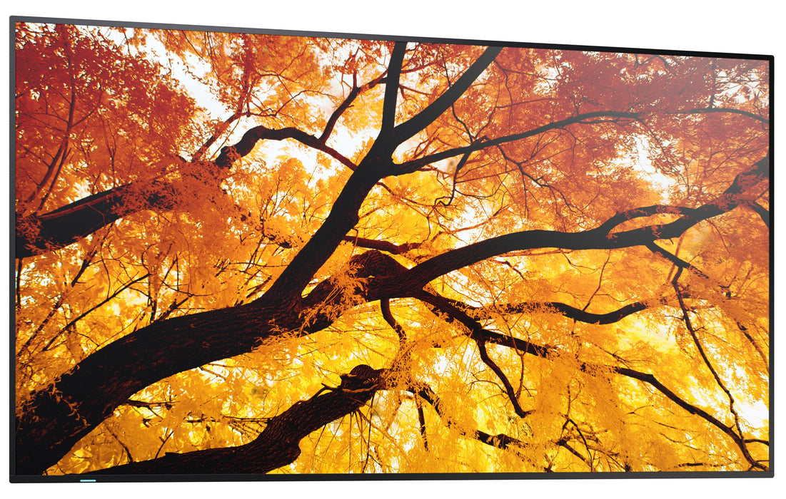 EAN 5715328282667 - Sharp MultiSync M552 Pantalla plana para señalización digital 139,7 cm (55") LCD 550 cd / m² 4K Ultra HD  imagen 5