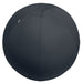 EAN 4002432134779 - Leitz Active Sitzball 65cm pelota de ejercicios Gris De tamaño completo imagen 1