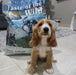 EAN 0074198612451 - Taste of the Wild Pacific Stream 2 kg Cachorro Bola, Salmón, Batata imagen 6