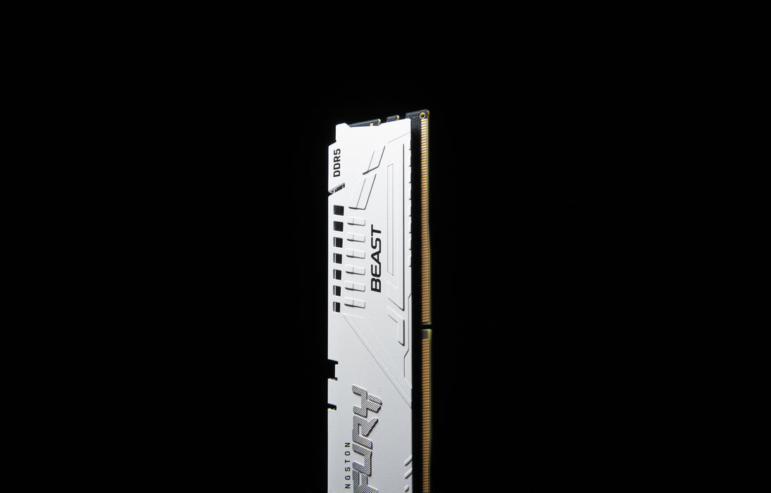 EAN 0740617343335 - Kingston Technology FURY Beast módulo de memoria 1 x 16 GB 6000 MT/s 288-pin DIMM imagen 9