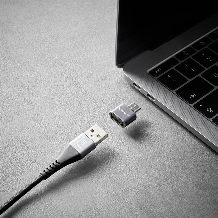 EAN 4034303038152 - Intenso 7600913 cambiador de género para cable Gris imagen 9