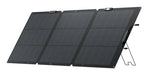 EAN 4895251615006 - EcoFlow EFSOLAR160W-N placa solar 160 W Silicio monocristalino imagen 1