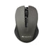 EAN 8717371865580 - Canyon CNE-CMSW1G ratón Oficina Ambidextro RF inalámbrico Óptico 1200 DPI imagen 1