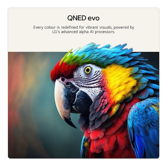 EAN 8806096694022 - LG QNED evo AI 50QNED87B6A 127 cm (50") 4K Ultra HD Smart TV Wifi Negro imagen 6