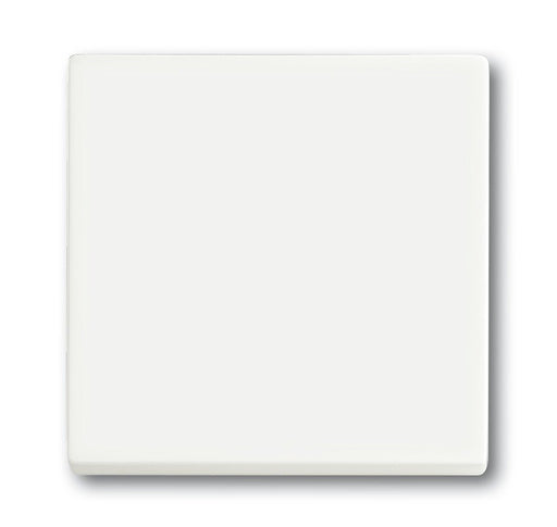 EAN 4011395129289 - Busch-Jaeger 1751-0-3027 interruptor de luz Plástico Blanco imagen 1
