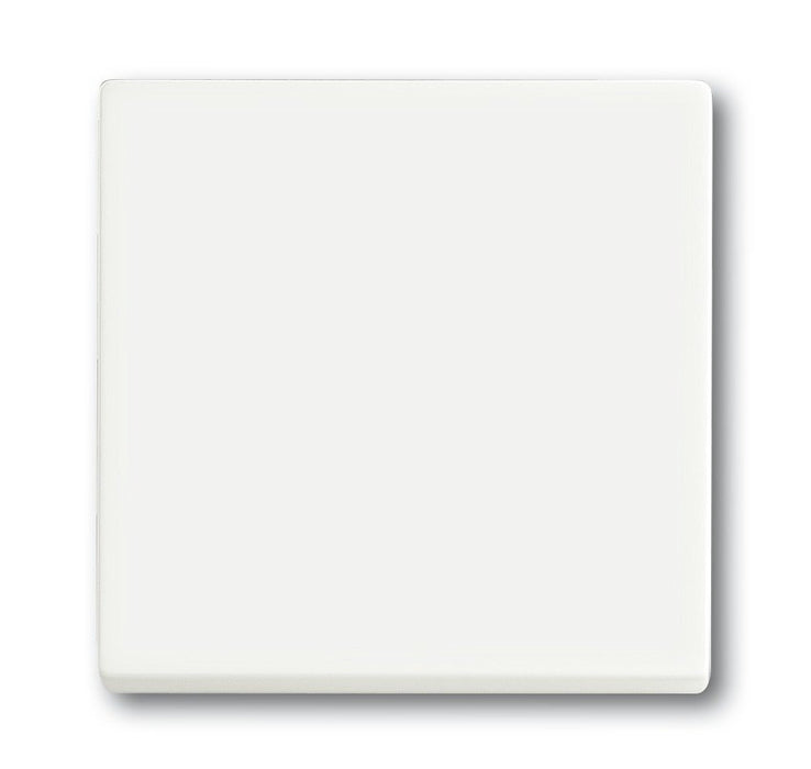 EAN 4011395129289 - Busch-Jaeger 1751-0-3027 interruptor de luz Plástico Blanco imagen 1