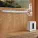 EAN 8720862502840 - Sonos Arc Ultra Blanco imagen 10