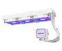 EAN 4711581493544 - Asrock Pro White 360 ARGB Procesador Sistema de refrigeración líquida todo en uno 12 cm Blanco imagen 3