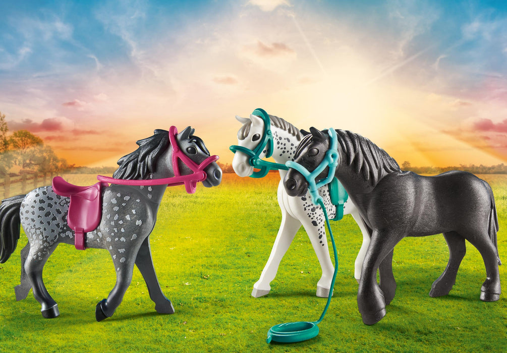 EAN 4008789709998 - Playmobil Country 70999 figura de juguete para niños imagen 4