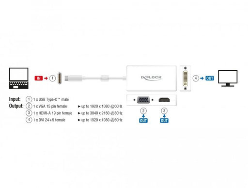 EAN 4043619639243 - DeLOCK 63924 divisor de video imagen 2