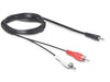 EAN 4043619842773 - DeLOCK 84277 cable de audio 10 m 3,5mm 2 x RCA Negro imagen 1