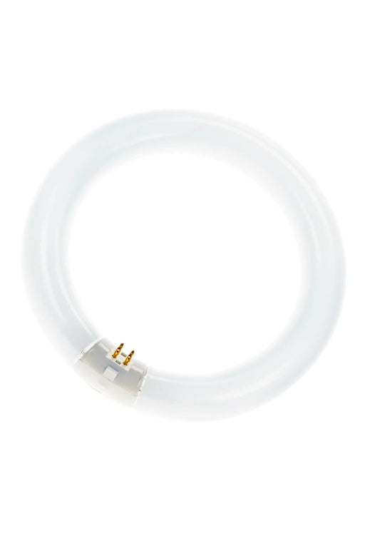 EAN 4050300014845 - Bailey Electric & Electronics FC040840/02 lámpara fluorescente 40 W imagen 1
