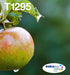 EAN 8715946638836 - Epson Apple T129 cartucho de tinta 1 pieza(s) Original Negro, Cian, Magenta, Amarillo imagen 1