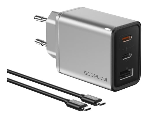 EAN 4895251622905 - EcoFlow RAPID 65 W Universal Plata Corriente alterna Carga rápida Interior imagen 1
