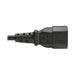 EAN 37332280985 - Eaton P004-02M-2C13EU cable de transmisión Negro 2 m IEC C14 IEC C13 imagen 6