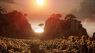 EAN 5056208823960 - Jyamma Games Enotria: The Last Song Estándar PlayStation 5 imagen 8