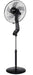 EAN 8436592930852 - Bastilipo COÍN BLACK Negro imagen 1
