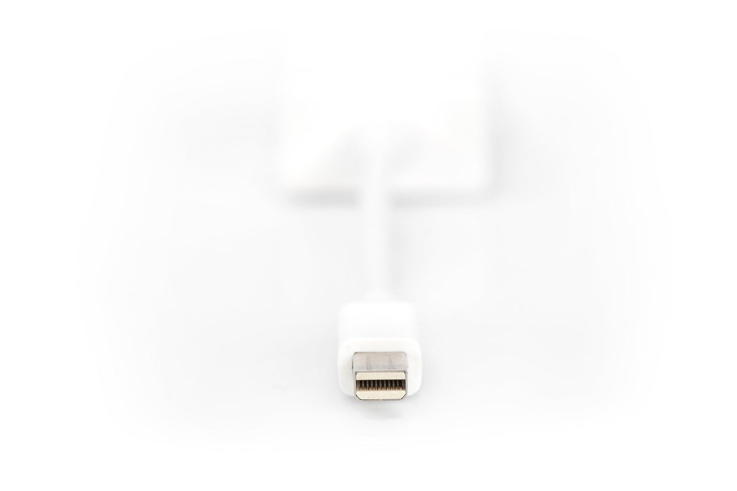 EAN 4016032292456 - Digitus DB-340407-001-W adaptador de cable de vídeo 0,15 m Mini DisplayPort Blanco imagen 2