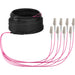 EAN 4049759306106 - EFB Elektronik O8322S30OM4 Cable de fibra óptica e InfiniBand 30 m 8x LC U-DQ(ZN) BH Beige, Negro, Magent imagen 1