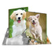 EAN 4008705071444 - HERMA 7144 carpeta Polipropileno (PP) Multicolor A3 imagen 1