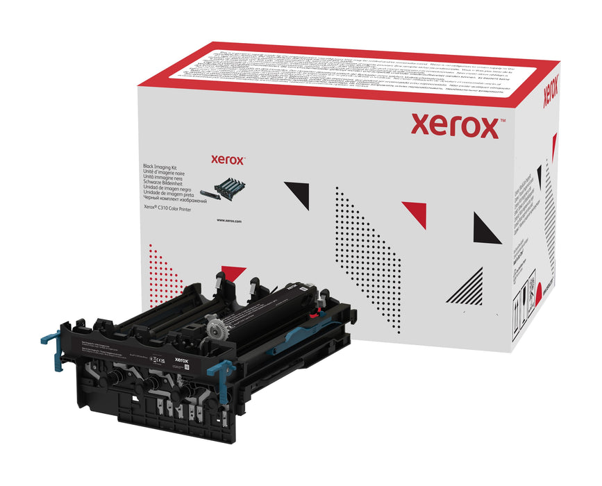 EAN 0095205068665 - Xerox 013R00689 cartucho de tóner 1 pieza(s) imagen 1